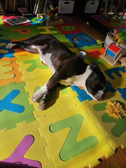 Photo of free Alphabet mat (Waltham) #1