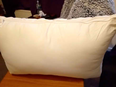 Photo of free Lauren Williams pillow (Orton Longueville PE2) #2