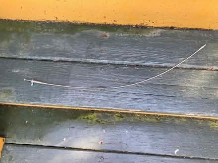 Photo of free old camera accessory 6 - cable (Spring Hill, Somerville) #1