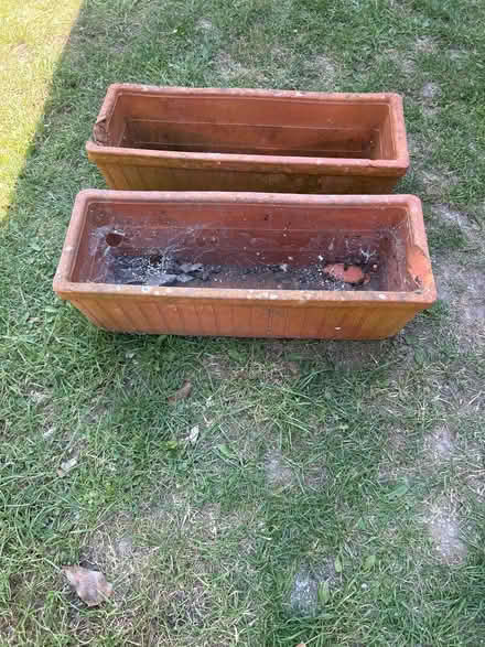 Photo of free X2 terracotta planters (L25) #2