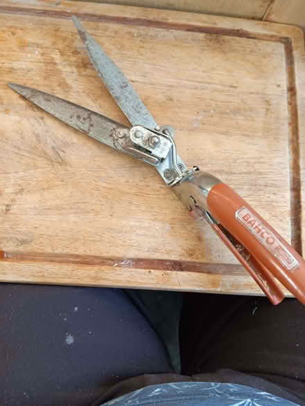Photo of free Hand operated grass edge cutters (New Park HG1) #1