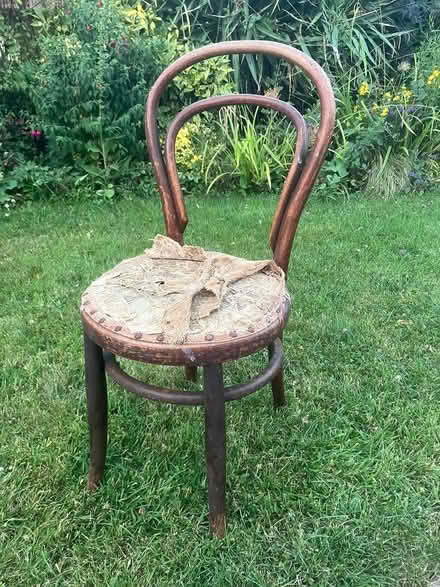 Photo of free Small upholstered bentwood chair (Desford, Leicester LE9) #1