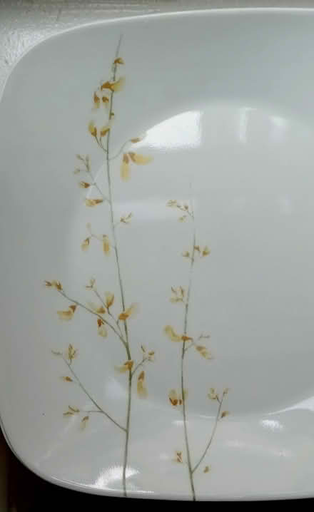 Photo of free Plates (Chicago, IL) #2