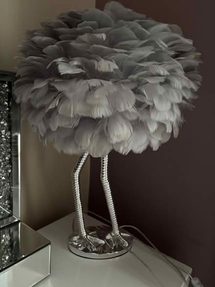 Photo of free Feather table lamp (Hyde, SK14) #2