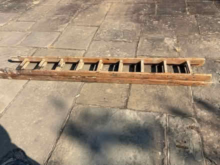 Photo of free Wooden ladder (Westcott) #2