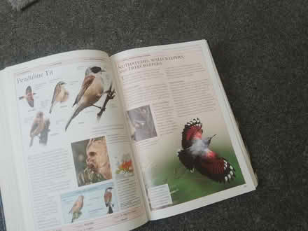 Photo of free RSPB Birds of Britain & Europe (Havant PO9) #2