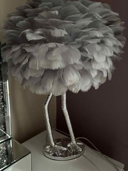 Photo of free Feather table lamp (Hyde, SK14) #1