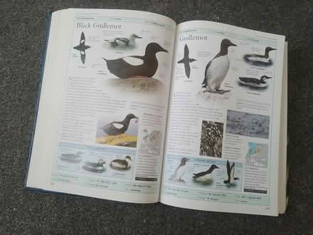 Photo of free RSPB Birds of Britain & Europe (Havant PO9) #3