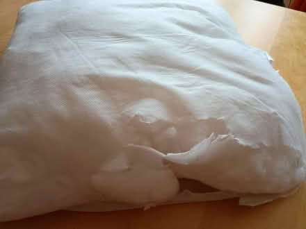 Photo of free Sofa cushion inside (Emerson Valley MK4) #1