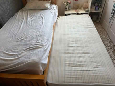 Photo of free Pine single trundle bed & mattress (Barnes SW13) #4