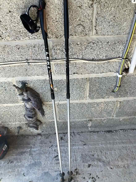 Photo of free Leki Nordic poles (Tavistock) #3