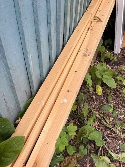 Photo of free Quality timber (Loughborough Park SW9) #2