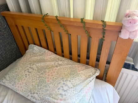 Photo of free Pine single trundle bed & mattress (Barnes SW13) #3
