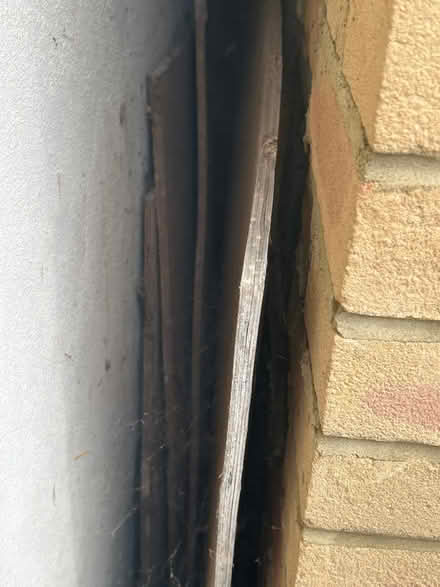 Photo of free Ply wood (Erith DA8) #1