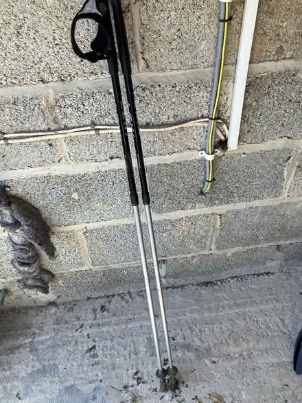 Photo of free Leki Nordic poles (Tavistock) #1
