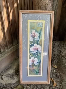 Photo of free Framed prints #2