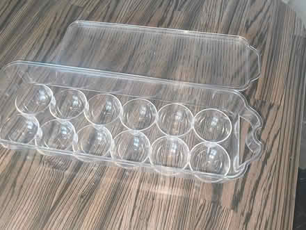 Photo of free Plastic egg box (Greystones) #2