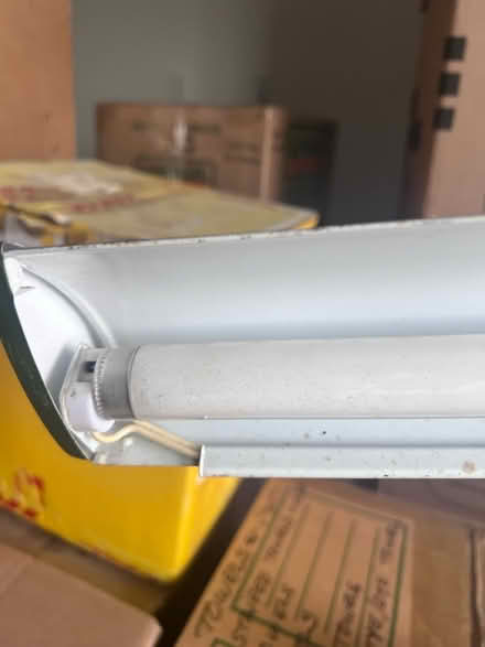 Photo of free Vintage desk lamp (Hollywood) #4
