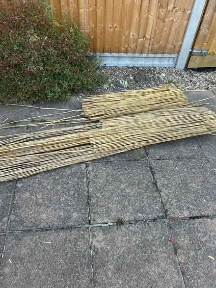 Photo of free Offcuts reed screening (Chichester (Parklands area)) #1