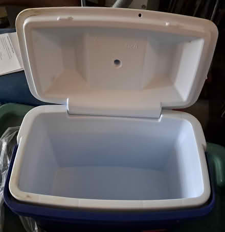 Photo of free lunch cooler (Bayshore) #3