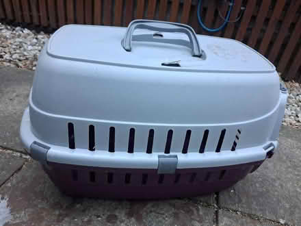 Photo of free Bunny/Cat transport box (Carpenders Park, WD19) #2