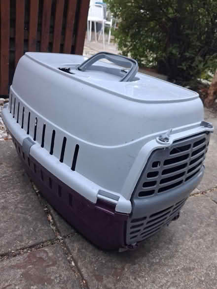 Photo of free Bunny/Cat transport box (Carpenders Park, WD19) #1