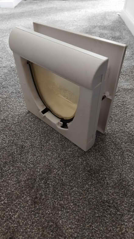 Photo of free Cat flap (CM23 5LN) #1