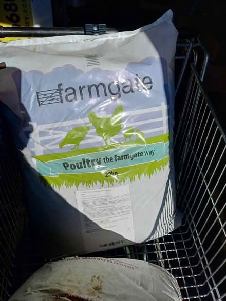 Photo of free Farmgate Poultry Feed (Rainham, Kent - ME8) #1