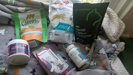 Photo of free Kitty stuff (Norwood) #1