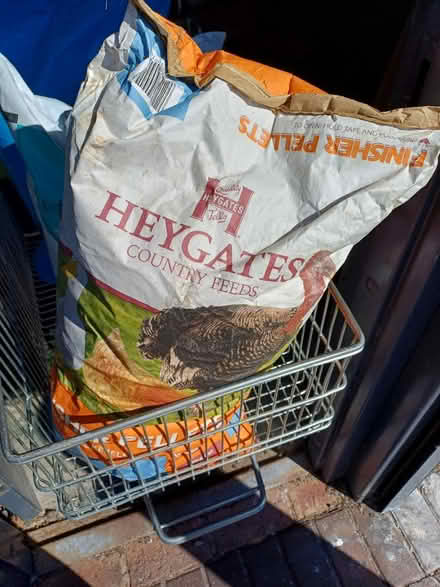 Photo of free Animal Feed (Rainham, Kent - ME8) #1