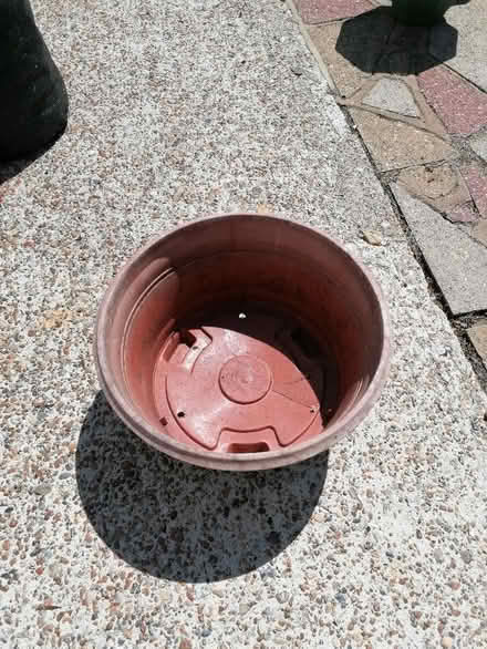 Photo of free Planter (Langney BN23) #1