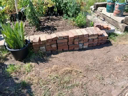 Photo of free 71 1/2 old bricks (Southbourne BH6) #1