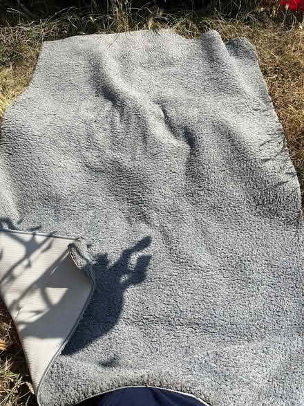 Photo of free Grey rug (Ipswich IP2) #1