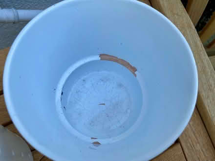 Photo of free 3 IKEA plant pots (Cropston LE7) #3