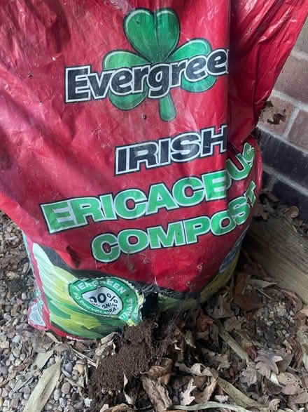 Photo of free Ericaceous compost, 1.5 bags 70ltr (Blaby, LE8) #1