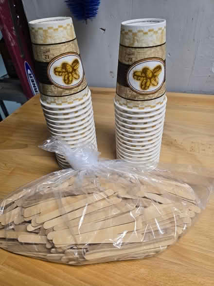 Photo of free Coffee cups and popsicle sticks (Poughkeepsie/Hyde Park) #1