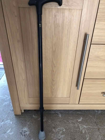 Photo of Adjustable walking stick (Stoneferry HU7) #1