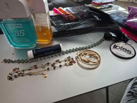 Photo of free Jewelry, mist, mesh carrier (Bowie) #2