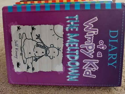 Photo of free Wimpy Kid and World Record Books (downers grove) #1