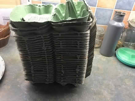 Photo of free 28 x paper 1/2 dozen egg boxes (Wickford SS12) #1