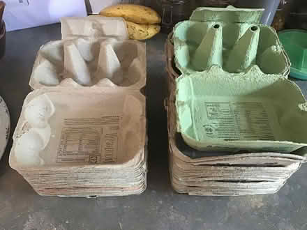 Photo of free 28 x paper 1/2 dozen egg boxes (Wickford SS12) #2