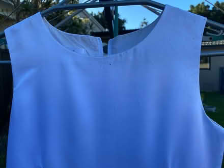 Photo of free Girls size 10 dress (Rockdale) #4