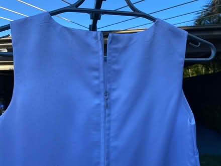 Photo of free Girls size 10 dress (Rockdale) #3