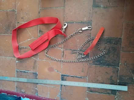 Photo of free Various dog items (Audley ST7) #3