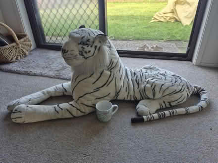 Photo of free Large stuffed tiger (Chittaway Bay) #2