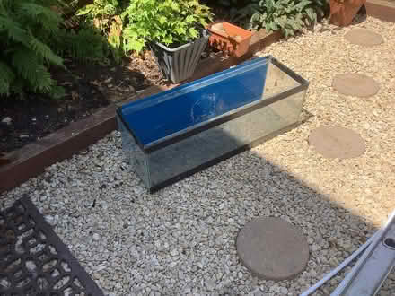 Photo of free Fish tank (Brownshill Stroud) #1