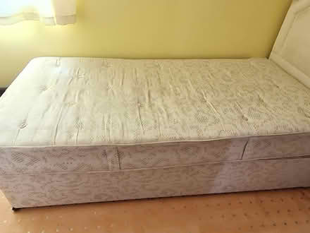 Photo of free Single bed (CO28DJ colchester) #1