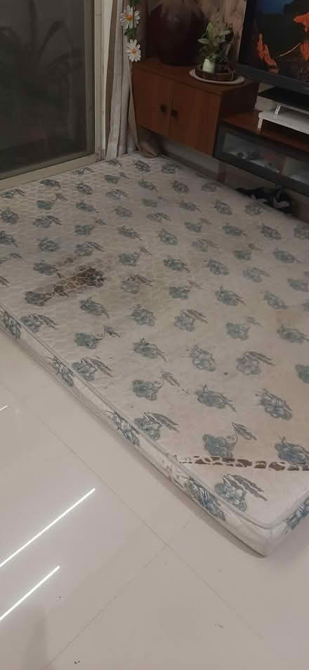 Photo of free Queen size matress (Dhayari pune) #2