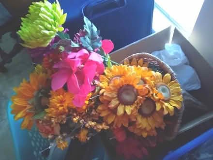 Photo of free Signal boosters,Vase,Cornucopia (In Champaign off Prospect) #3