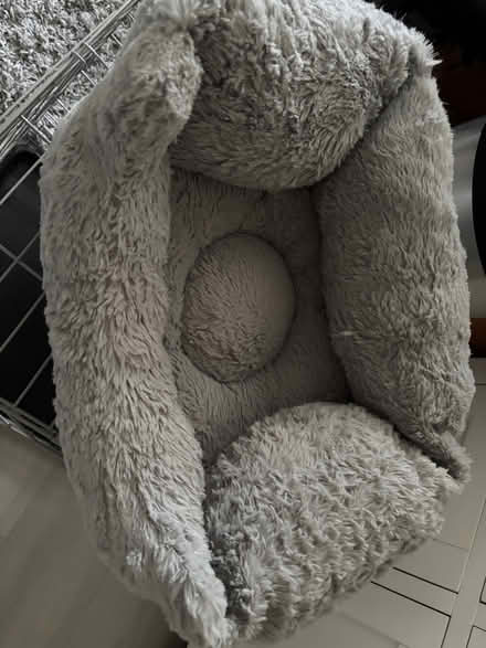 Photo of free Cat or dog bed (Southborough BR2) #1